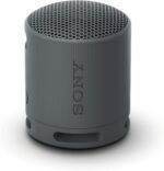 Sony SRS-XB100 – Extra Bass Portable Bluetooth Speaker